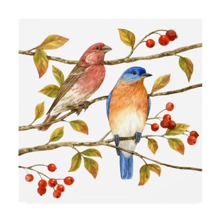 Jane Maday 'Birds And Berries Iv' Canvas Art,18x18